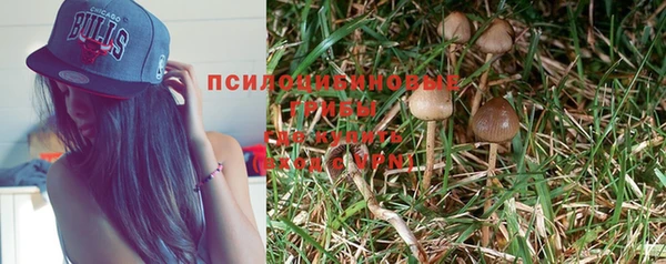 MDMA Белокуриха